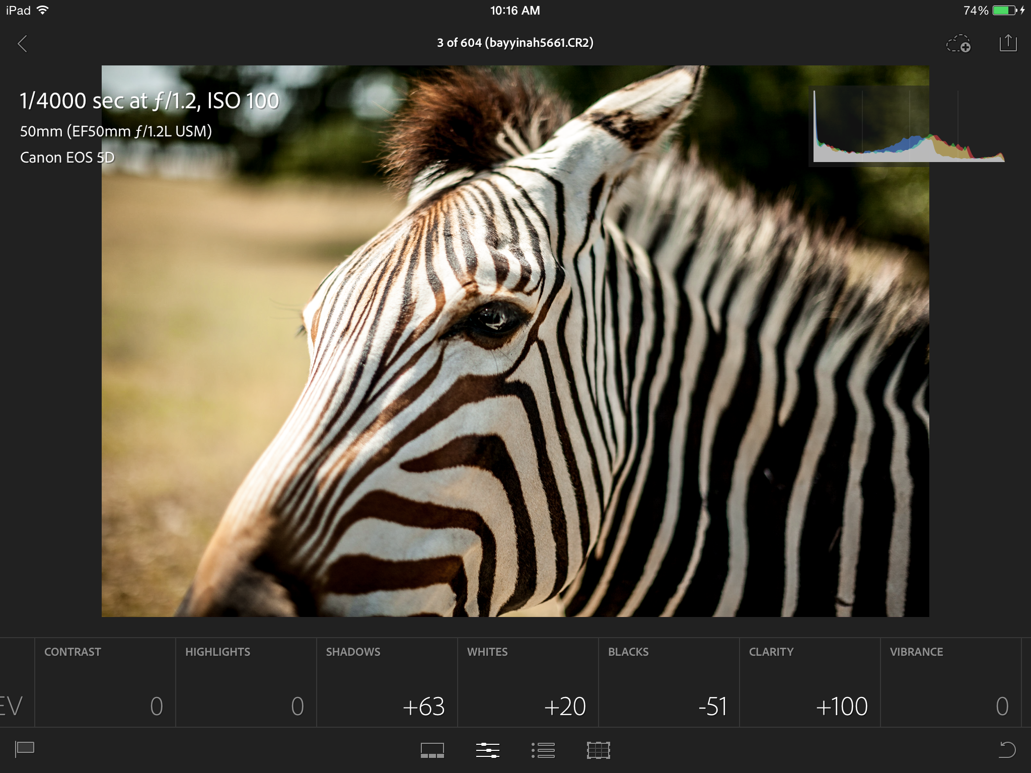 Adobe Lightroom Mobile (screenshot)
